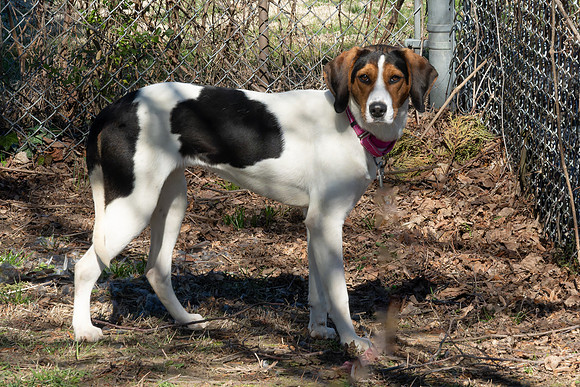 Lucy-3