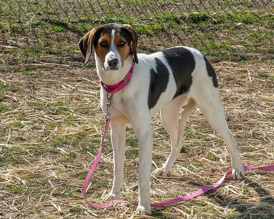 Lucy-4