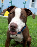 Talbot Humane - June 27, 2025