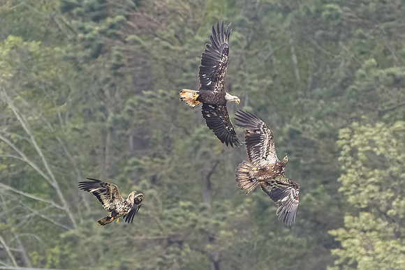 20200430_2374-Edit-2