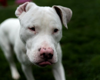 Talbot Humane - March 3, 2024