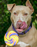 Talbot Humane - July 23, 2025