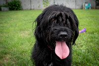 Talbot Humane - July 24, 2024