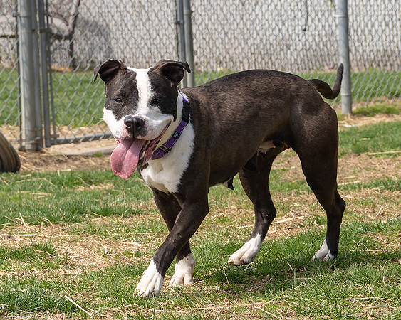 Norah (2 of 12)