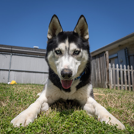 Keko (8 of 9)