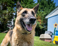 Talbot Humane - June 18, 2025