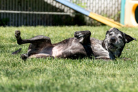 Talbot Humane - May 1, 2024
