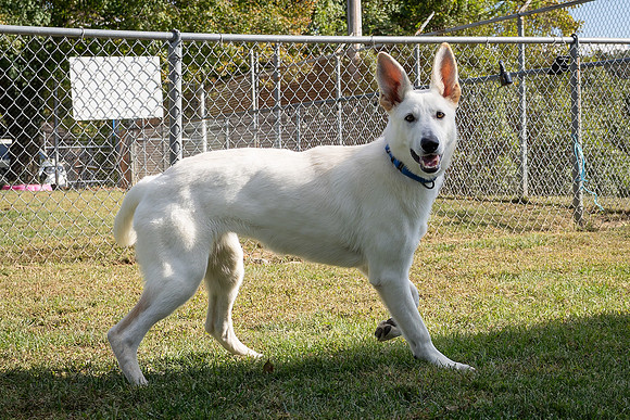 Arwen-8