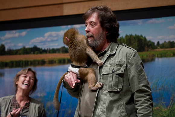 Baboon