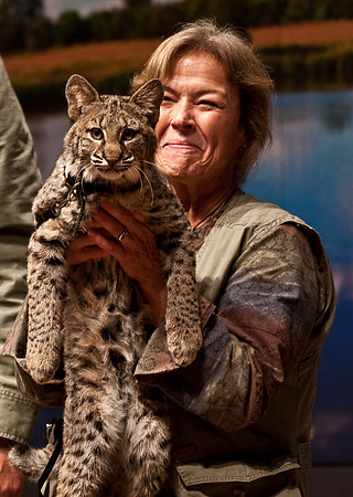 Bobcat