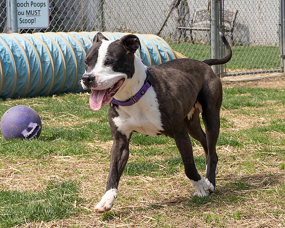 Norah (3 of 12)