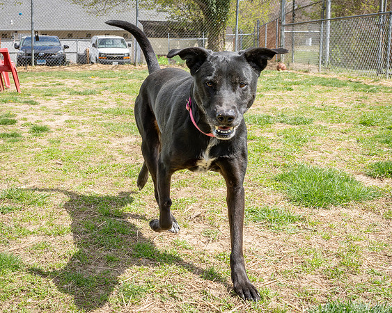 Phiona (1 of 6)