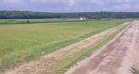 WF Area