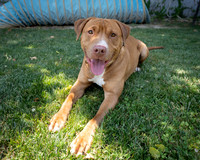 Cletus-2