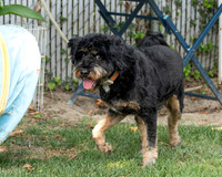 Talbot Humane - August 15, 2024