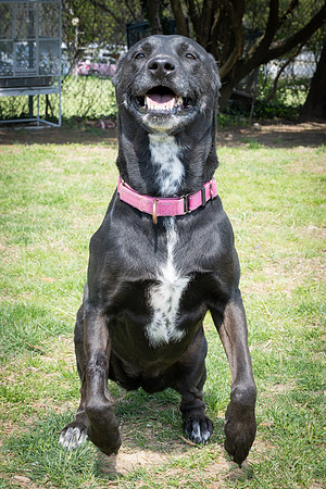 Phiona (5 of 6)