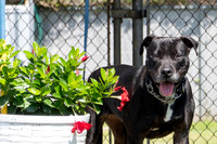Talbot Humane - May 29, 2024