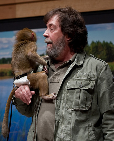 Baboon