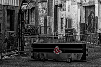 20240510_0037-arw-Edit