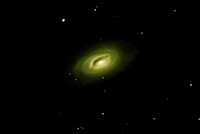 M64