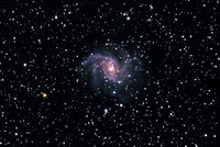 C12