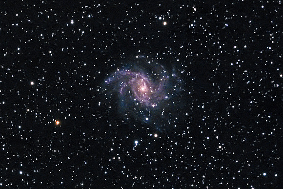 C12