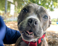Talbot Humane - July 9, 2025
